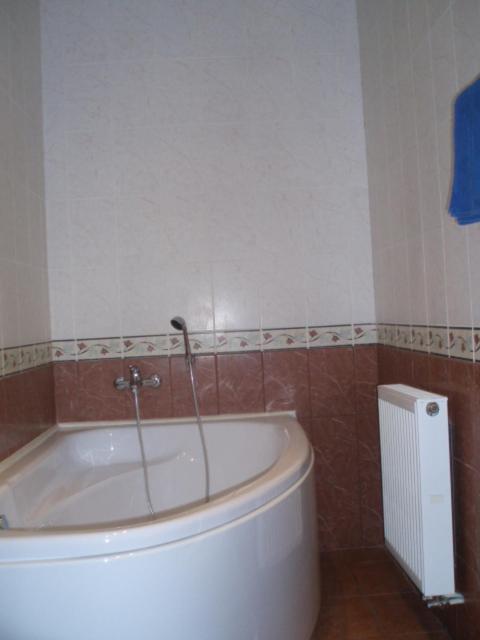 Marijos Karpenko Apartaments カウナス 部屋 写真